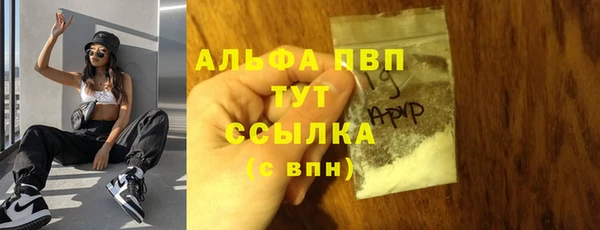 СК Богородск