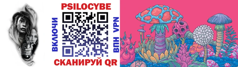 Галлюциногенные грибы Psilocybe  мориарти клад  Верхний Уфалей  купить закладку 