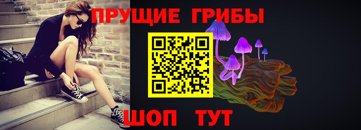 Псилоцибиновые грибы Psilocybe Верхний Уфалей